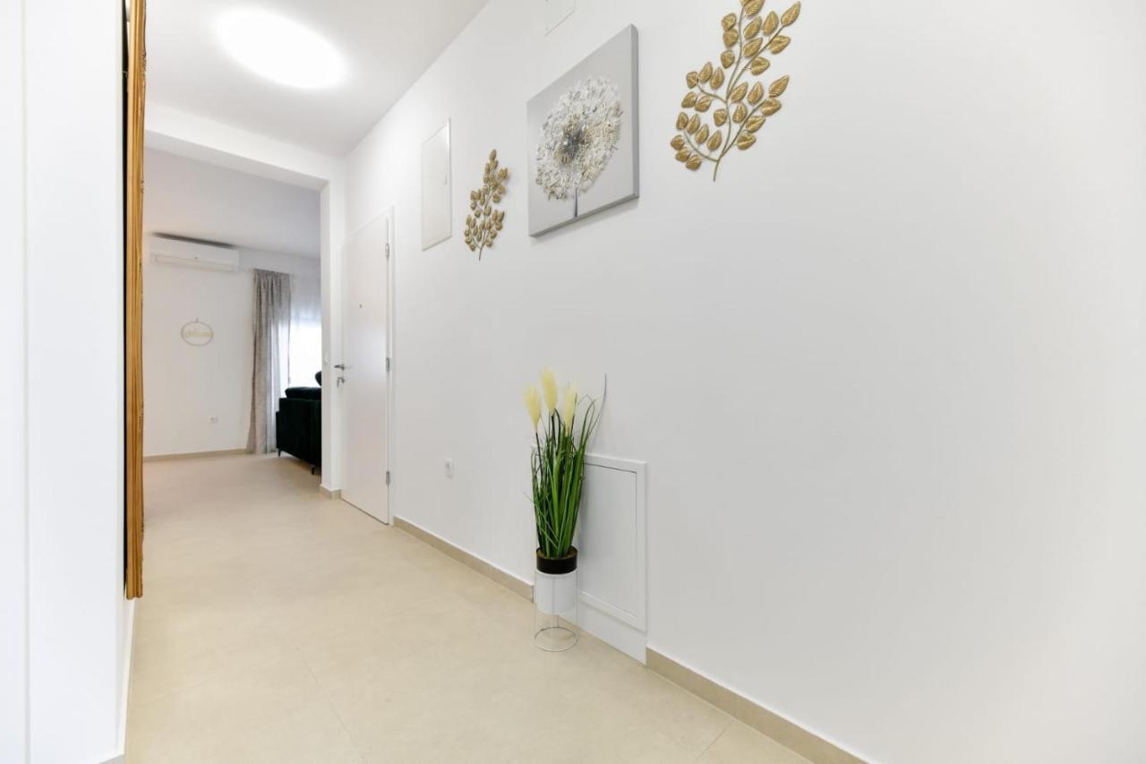 Family Apartment Amare Zadar Extérieur photo